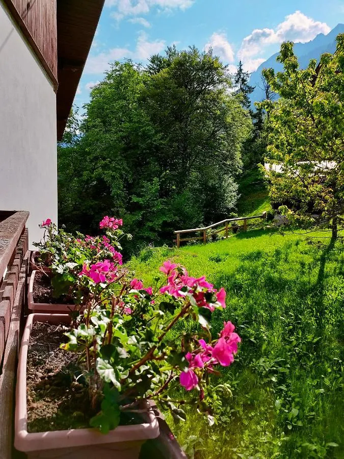 Il Terrazzo Sulle Dolomiti Apartment Cibiana