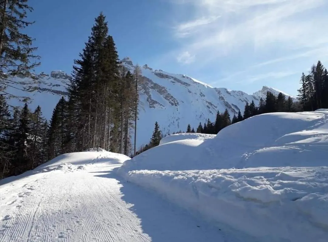 Appartamento Il Terrazzo Sulle Dolomiti Cibiana